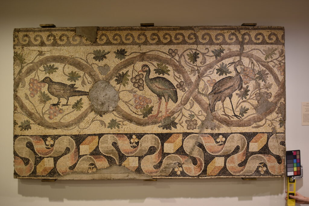 Princeton University Art Museum Mosaics, During Assessment
