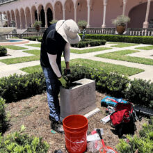 Ringling MOA, Deer Statue (1 of 2), During Pin Reset Treatment