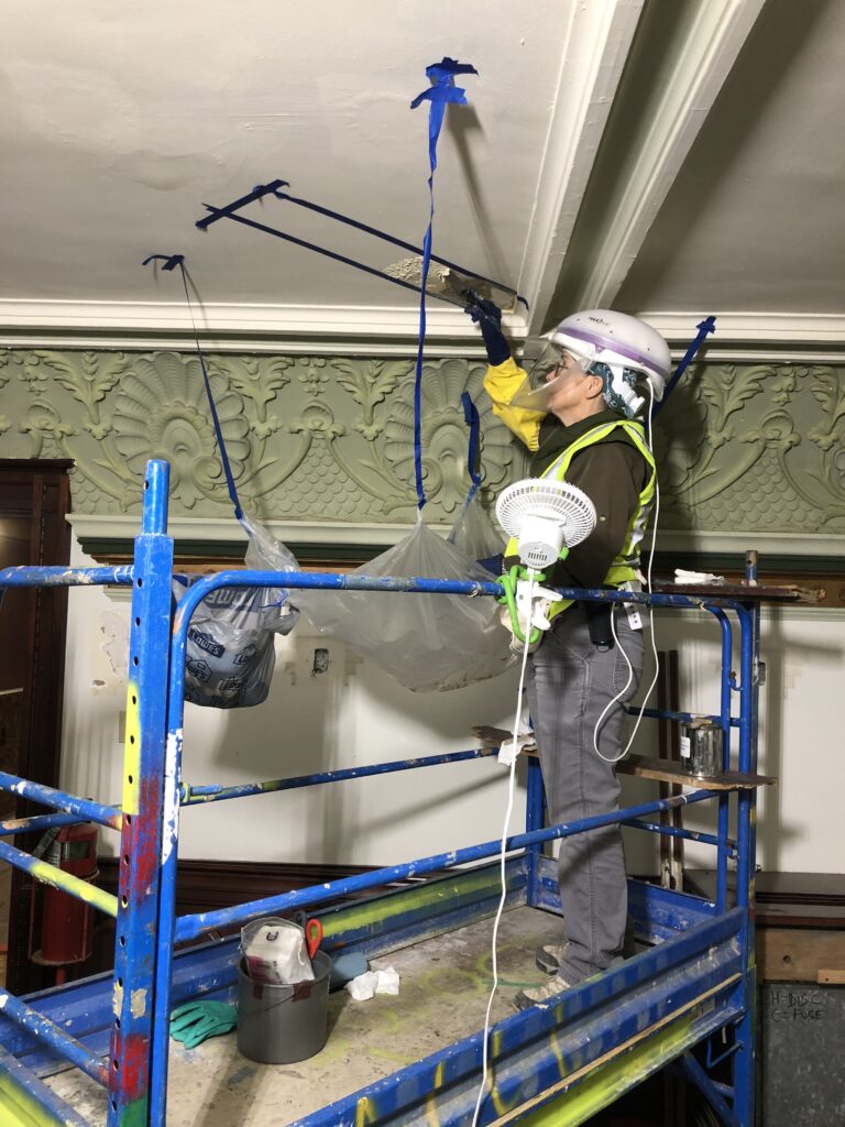 IL State Capitol, Paint Reveal